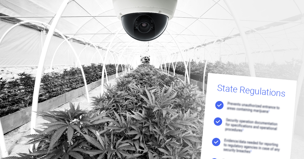 An All-in-One Solution for Meeting Your State’s Strict Cannabis Security Regulations